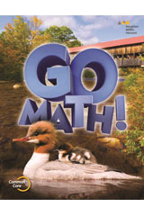 Strategic Intervention Teacher Guide Grade 2-9780544249042