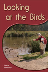Leveled Reader 6pk Yellow (Levels 6-8) Looking at the Birds Looking at the Birds-9781418942977